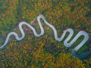 Aerial view of winding road through autumn forest in South Korea. 말티재, 로드맵, 구불구불, 커브길, 도로, 길.	
