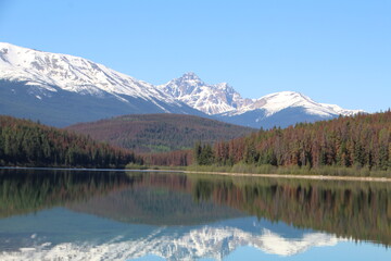 Calm Reflections, Jasper National Park, Alberta