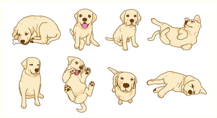 Cartoon Playful Labrador retriever dog ,puppy illustration collection