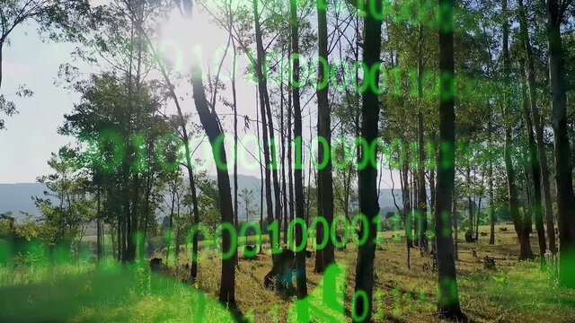 Binary code effect for green energy. Deforestation or reforestation for control of climate change. Environment emissions reduction. Clean energy generation.