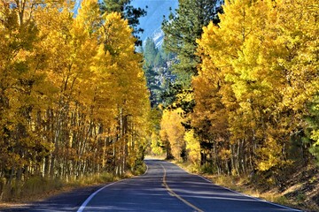 Autumn Trees - State Route 158 is a state highway in the U.S. state of California. Known as the June Lake Loop, it is a loop route of U.S. Route 395 in Mono County.
