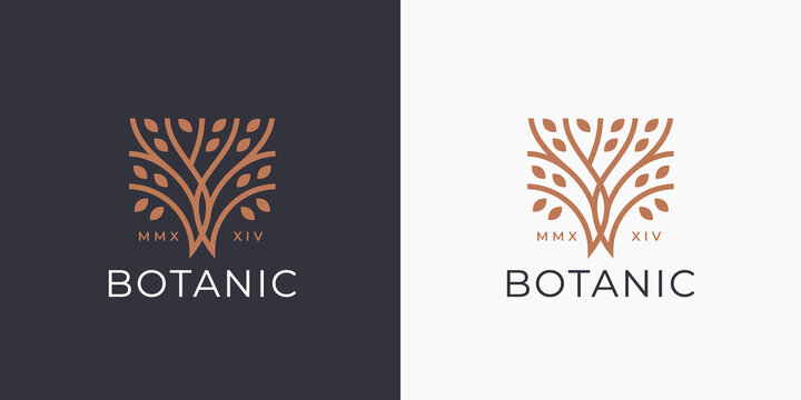 Tree of Life logo icon. Abstract nature branch with leaves business sign. Square garden plant natural line symbol. Vector illustration.