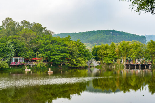 Landscape with small houses and vegetation on the lake and shore in the park