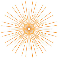 Explosion de strelitzia 