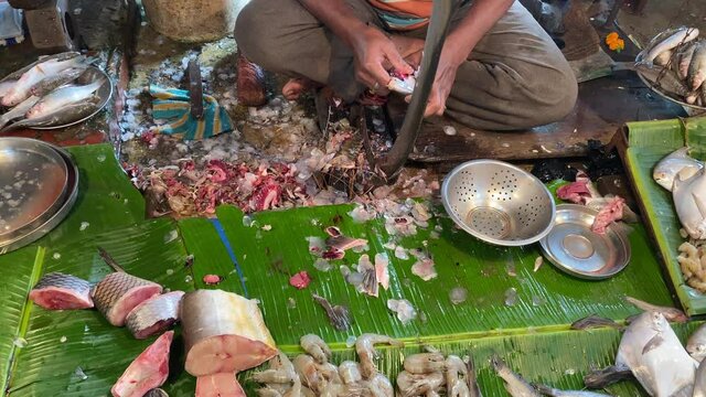 Shot of a man sitting in a fish shop cleaning and cutting the fishes with pomfret fish, prawn and lobster kept in banana leaf for sale at Territy Bazar, Kolkata, West Bengal, India