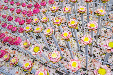 Fototapeta na wymiar a lot fo pink and white lotus derate in flower event, for background or an idea for event and backdrop.