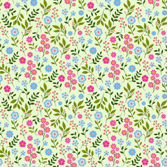 Seamless vector summer floral pattern