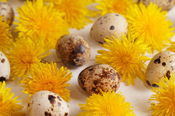 Obraz premium Happy Easter Day greeting card with sping yellow dandelions flowers and Easter eggs on rustic white wooden background. Creative frame border Happy Easter Day card with space for text. Minimal Easter 