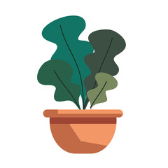 plant in pot