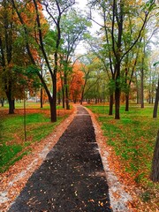 Fototapeta na wymiar autumn, park
