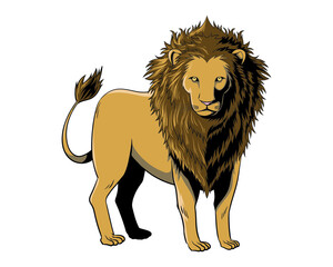 lion vector illustration