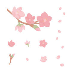 Cherry blossoms_parts