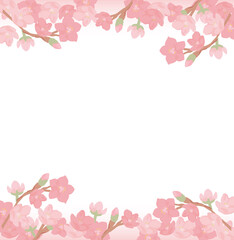 満開桜の背景素材＿白バックコピースペースあり