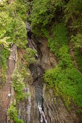 waterfall in the woods