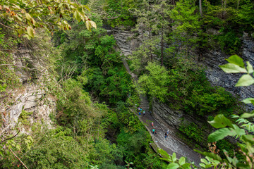 waterfall in the forest