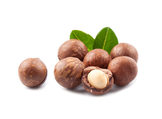 Macadamia nuts with leaves