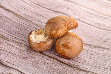 Raw brown champignons mushroom heap