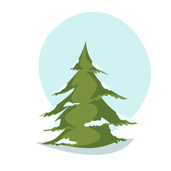 A lonely spruce stands in snowdrifts. Coniferous tree on the background, an element for design.