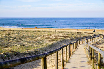 access ocean sandy pathway fence wooden to ocean beach atlantic sea coast at talmont saint hilaire...