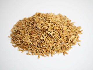Paddy pile on a white background. closeup photo, blurred.