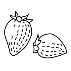 春のフルーツイラスト いちご 線画