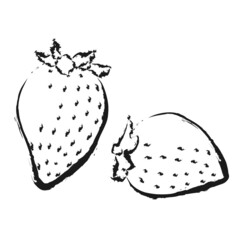 春のフルーツイラスト いちご 筆風 線画
