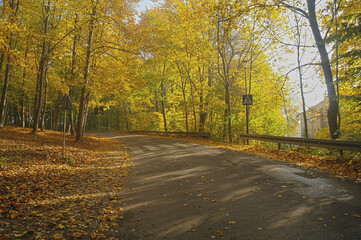autumn forest in the Świętokrzyskie Mountains