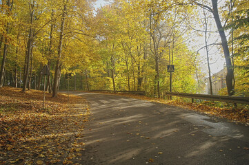 autumn forest in the Świętokrzyskie Mountains