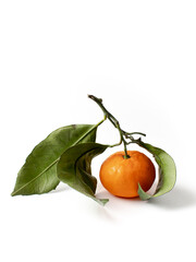 Tangerines with leaves on a white background.