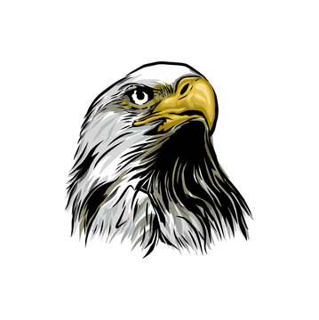 eagle head vector illustrations, hand drawing image