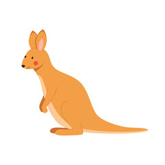 Cute young kangaroo isolated in white background. Funny marsupial Australian animal. Vector Illustration drawn in cartoon style