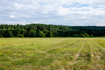 An empty meadow where a farmer used to make hay for animal feed.