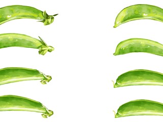 手描き水彩のスナップエンドウイラスト長方形フレーム・左右
