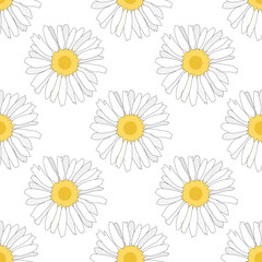 seamless pattern with white daisies