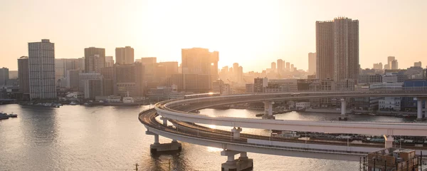 Fotobehang Yurikamome Train on Rainbow Bridge and Tokyo skyline at sunset　夕暮れのレインボーブリッジを走るゆりかもめと東京湾岸のビル群 © wooooooojpn