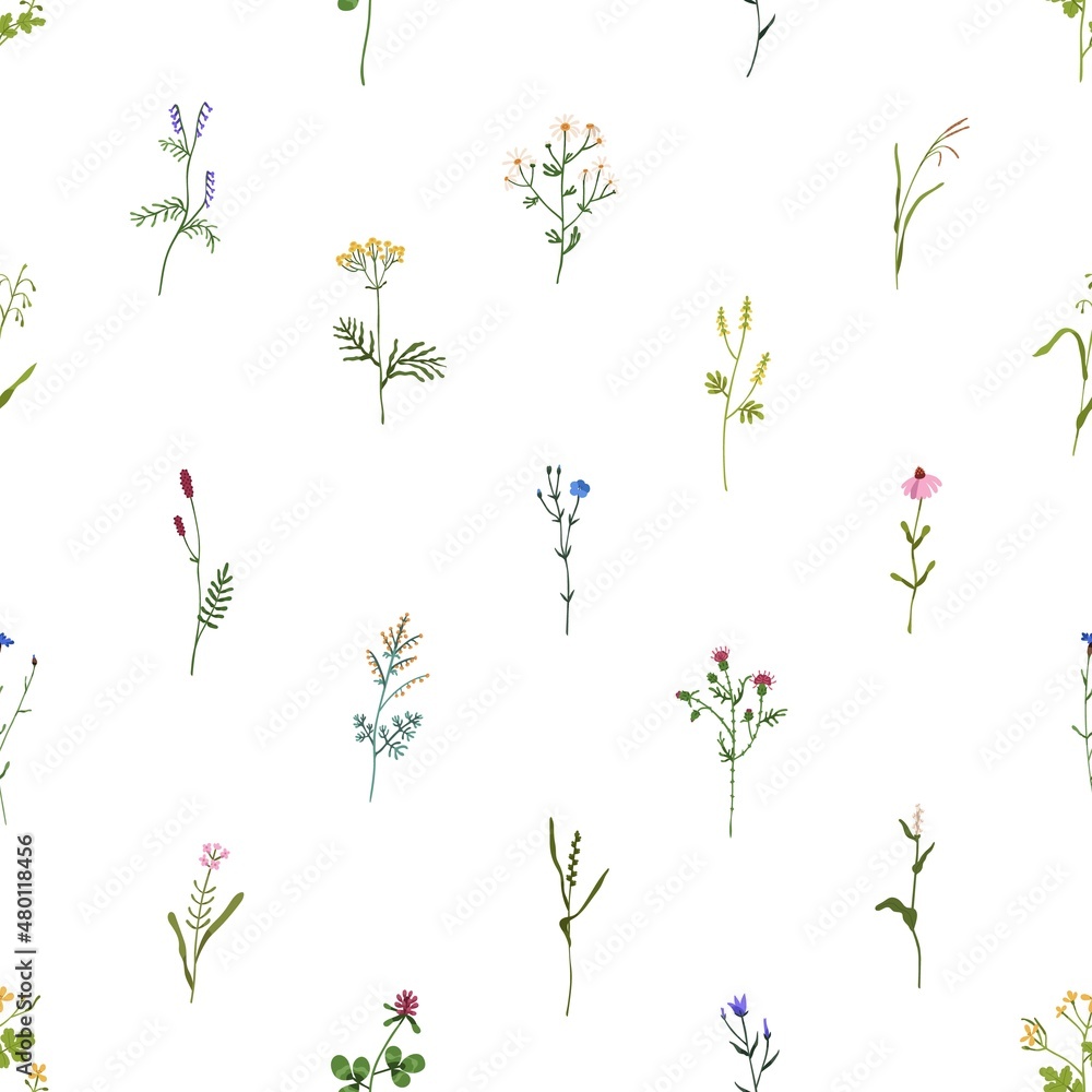 Poster seamless pattern with wild flowers. botanical background with repeating floral print. spring blooms,