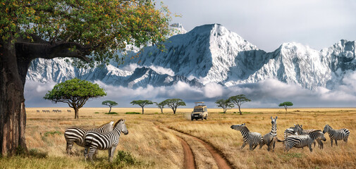 Safari in Africa, traveling by car, watching zebras and antelopes in savannah on background mountains.