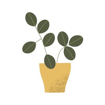Potted house plant with leaf. Green houseplant growing in planter. Foliage decor for home and office interiors. Flowerpot with fresh leaves. Flat vector illustration isolated on white background