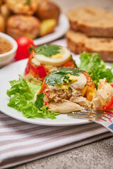 Portion of delicious chicken aspic on a plate isolated on concrete table