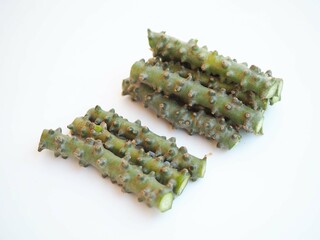 Tinospora cordifolia herb Thai on white background. closeup photo, blurred.