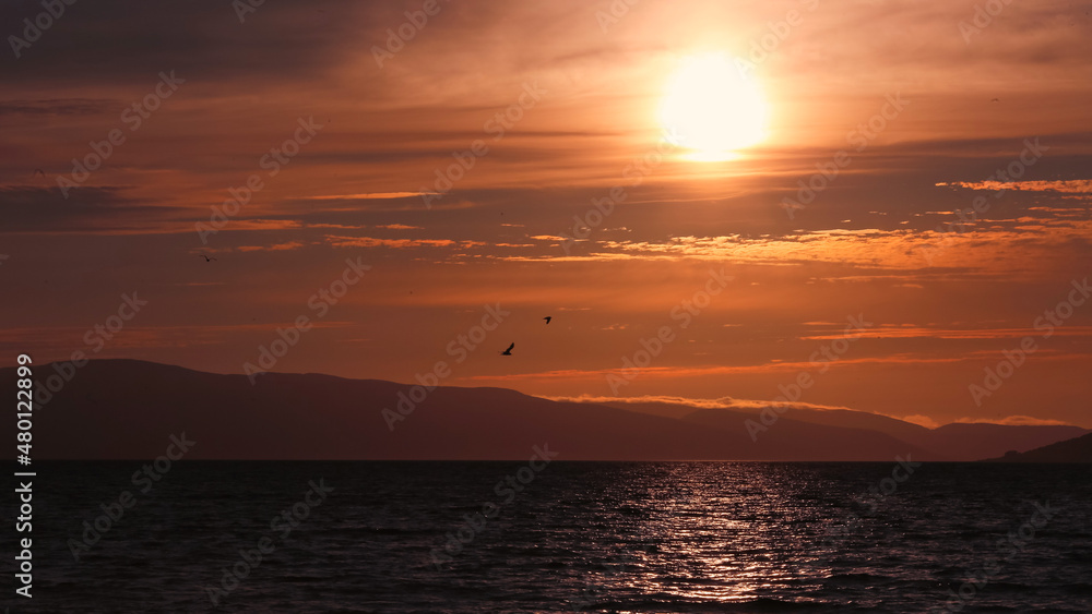 Poster Trondheim fjord