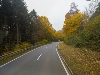 view from the car window on the road among the autumn forest