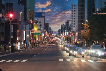 streets in sapporo on the island of hokkaido japan at night - obrazy, fototapety, plakaty