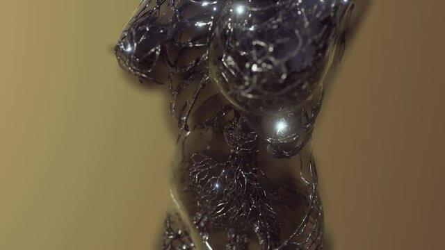 analysis of human blood vessels anatomy scan