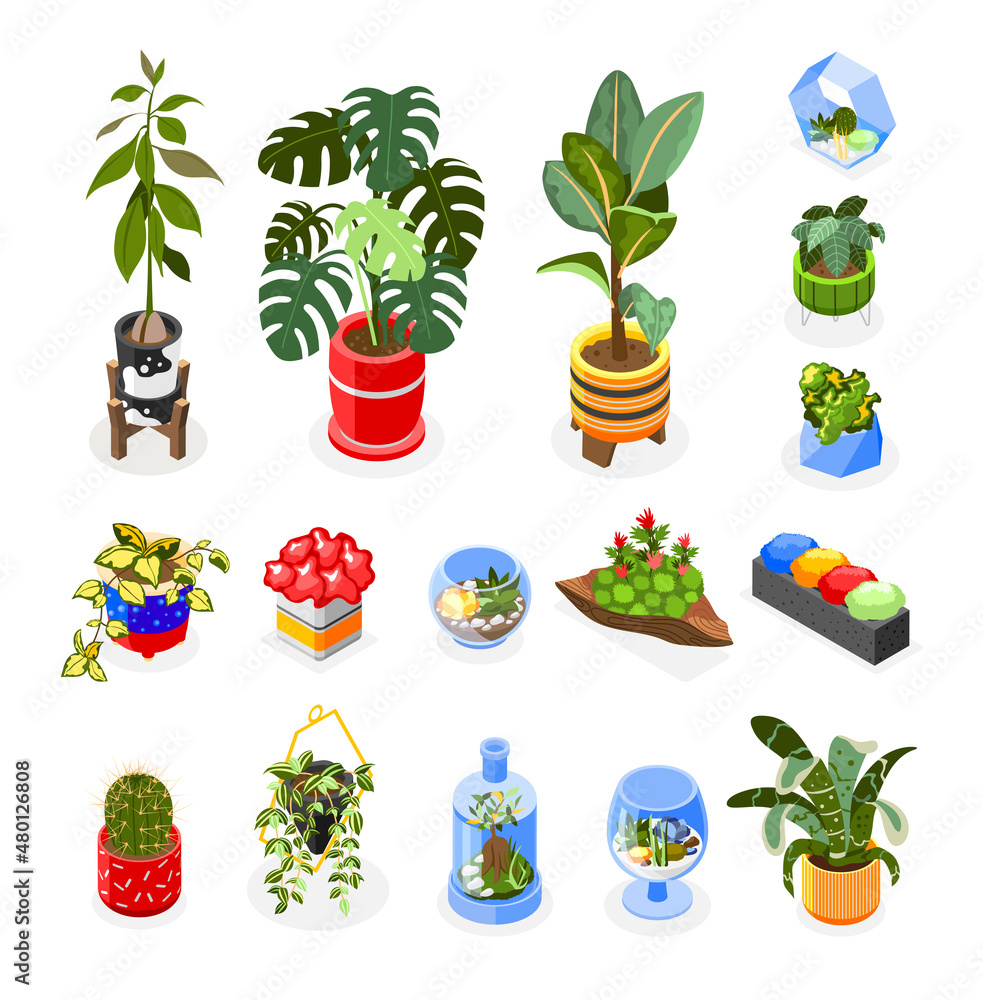 Sticker Plants Isometric Icons Set