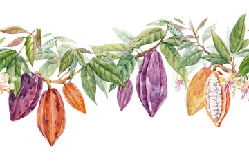 Beautiful seamless tropical pattern with hand drawn watercolor cocoa fruits and leaves. Stock illustration.