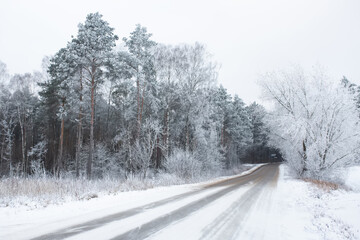 Obraz premium Winter snowy view with freezy trees. Season cold weather