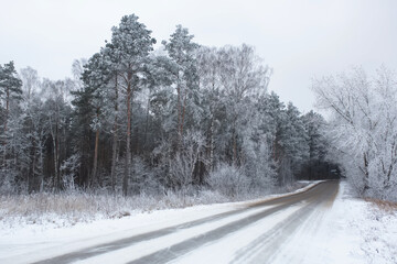 Winter snowy view with freezy trees. Season cold weather