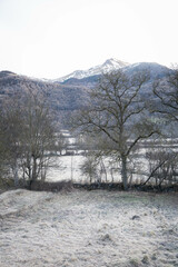 White frozen field in the morning waiting for the sunrise.