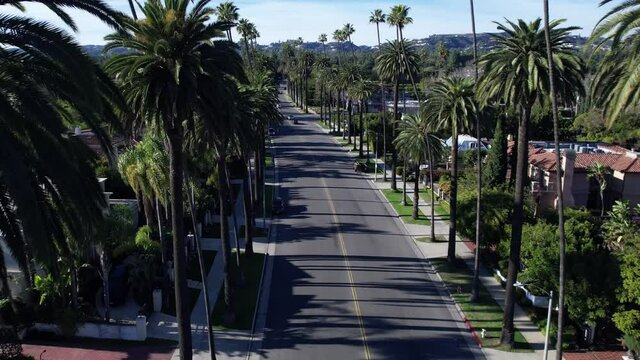 Flyover Scenic Beverly Hills Palm trees lined neighborhood Street, LA - California